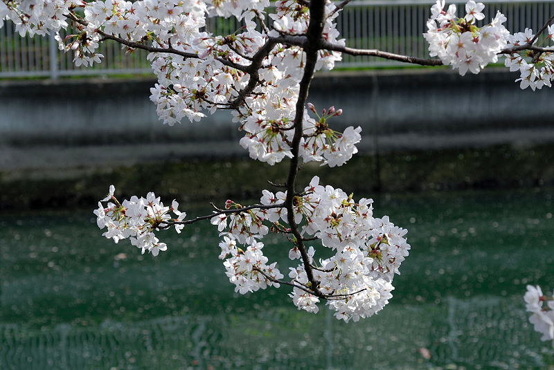 image0120