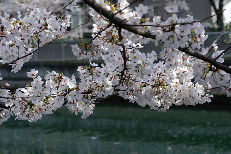 image0121