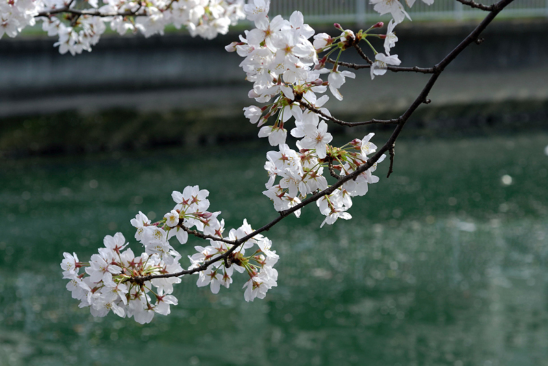 image0122