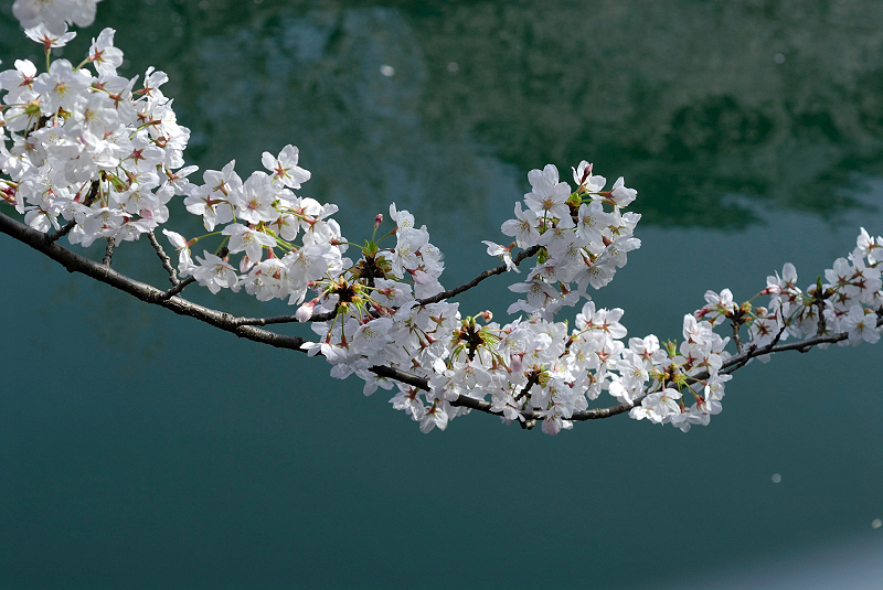 image0125