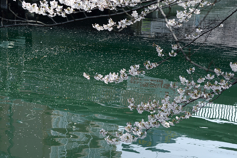 image0127