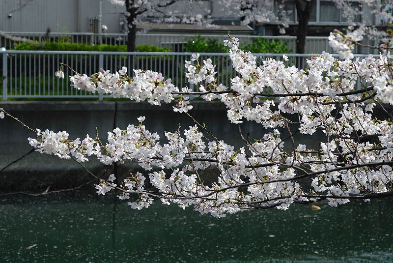 image0128