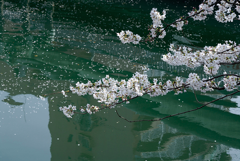 image0130