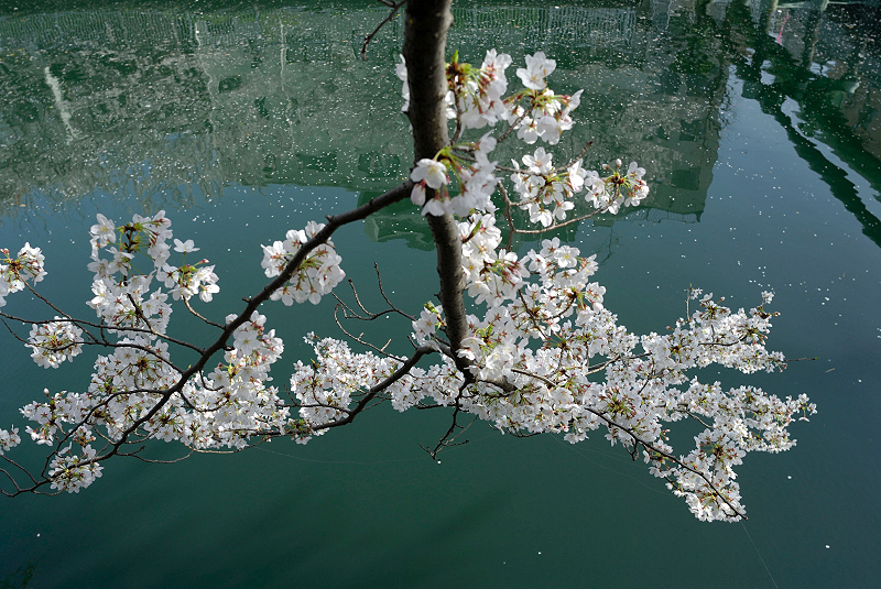 image0134