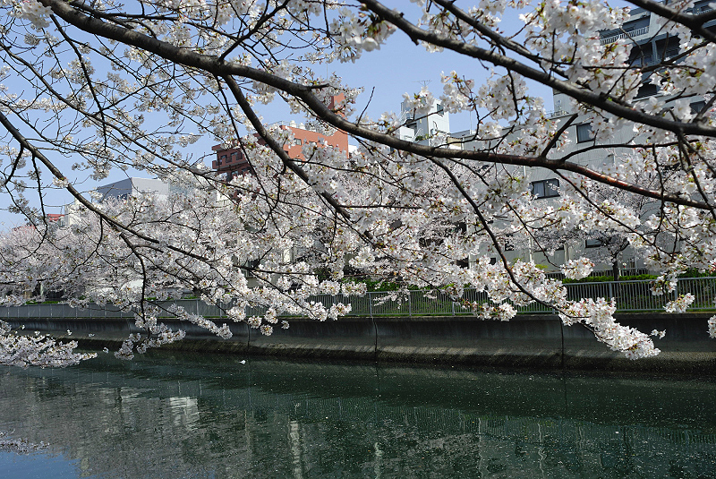 image0136