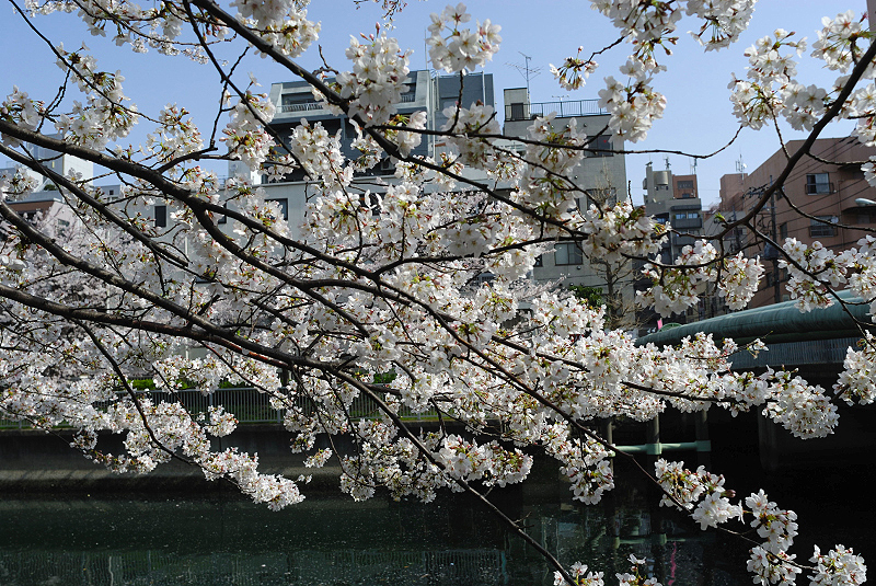 image0137