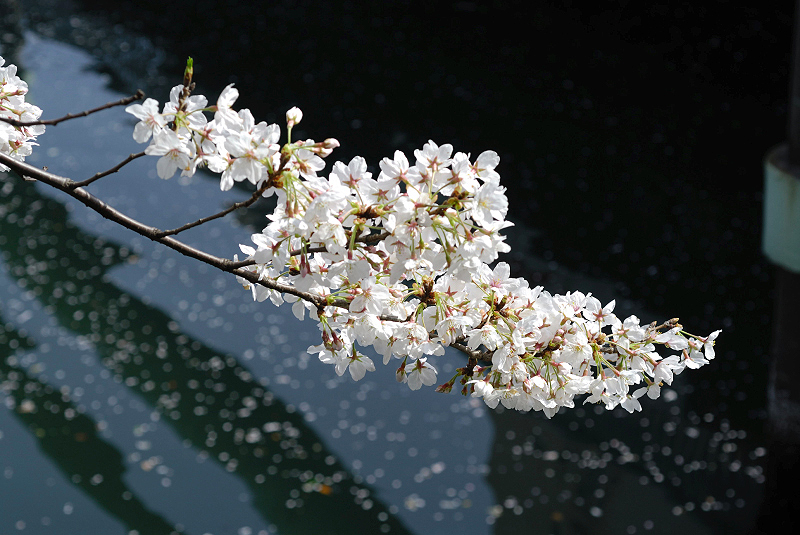 image0138