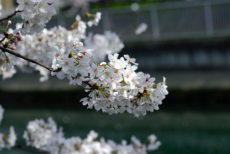 image0142