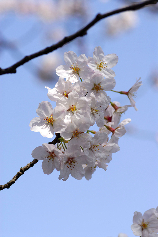 image0146