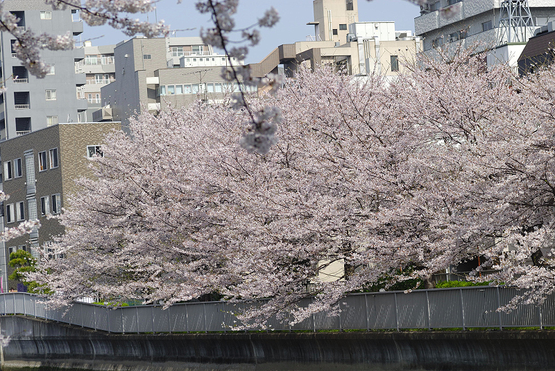 image0151