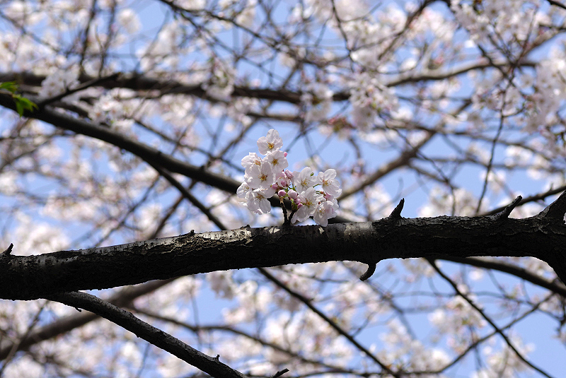 image0153