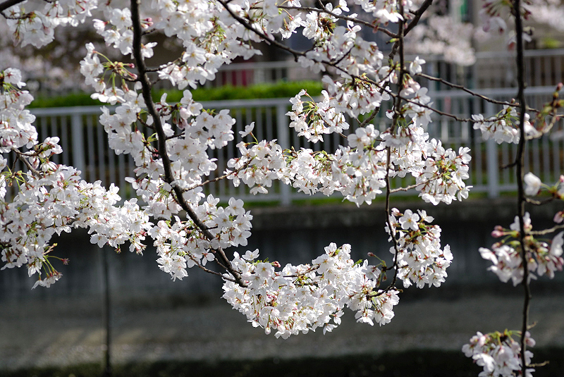 image0157