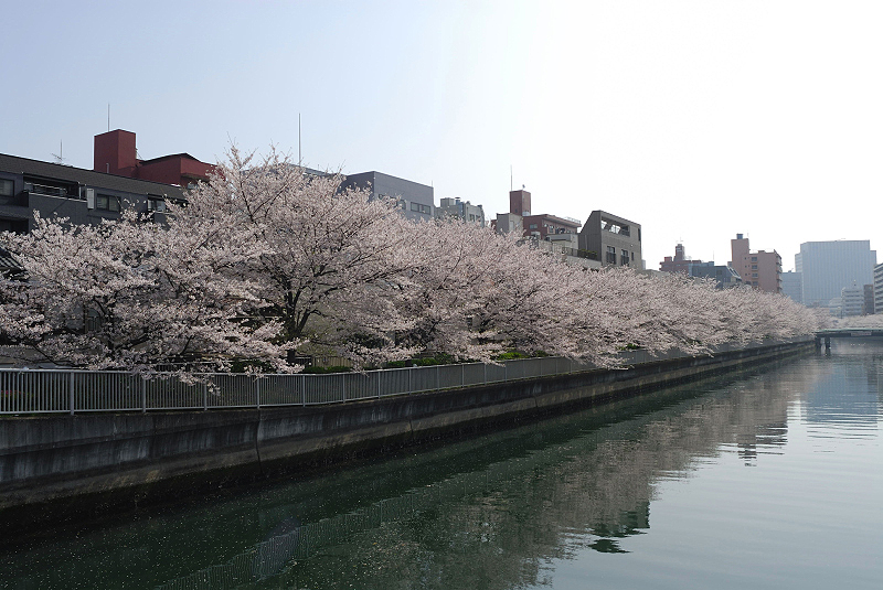 image0163