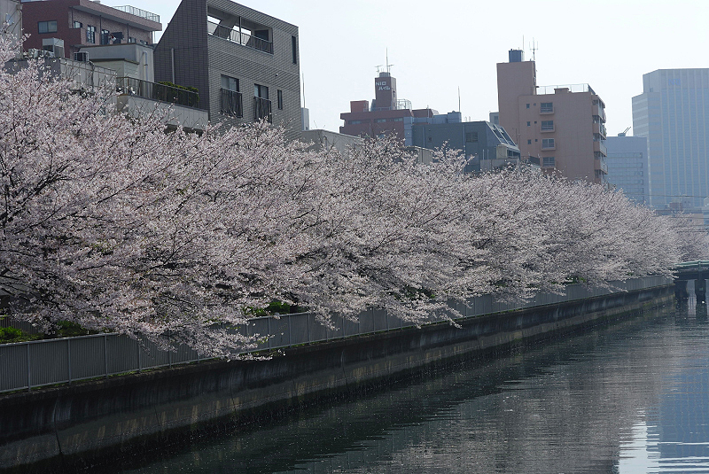 image0167