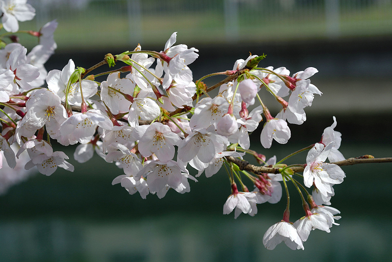 image0171
