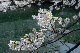 image0129