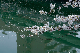 image0130