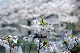 image0131