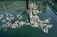 image0134