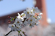 image0140