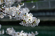 image0142