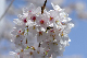 image0143