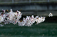 image0145