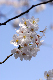image0146