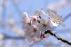 image0147