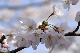 image0148