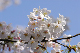 image0149
