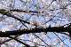 image0153