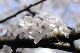 image0154