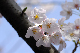 image0156