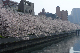 image0167