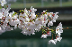 image0171