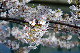 image0173