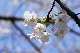 image0174