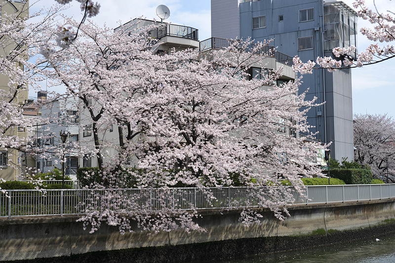 image0257