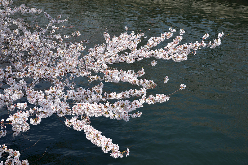 image0275