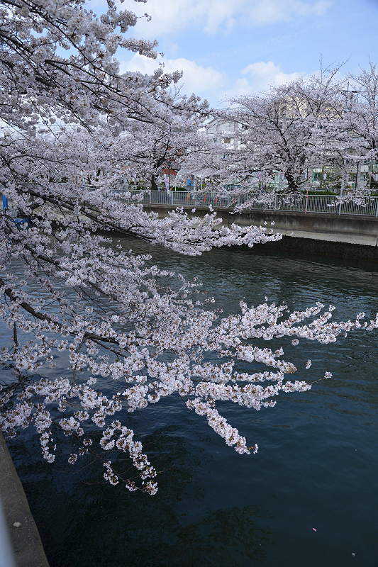 image0278
