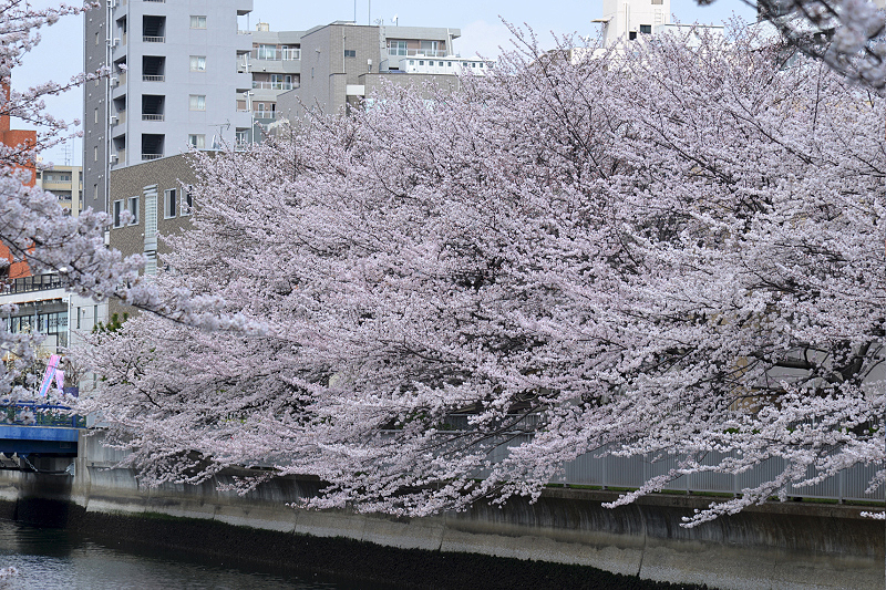 image0382