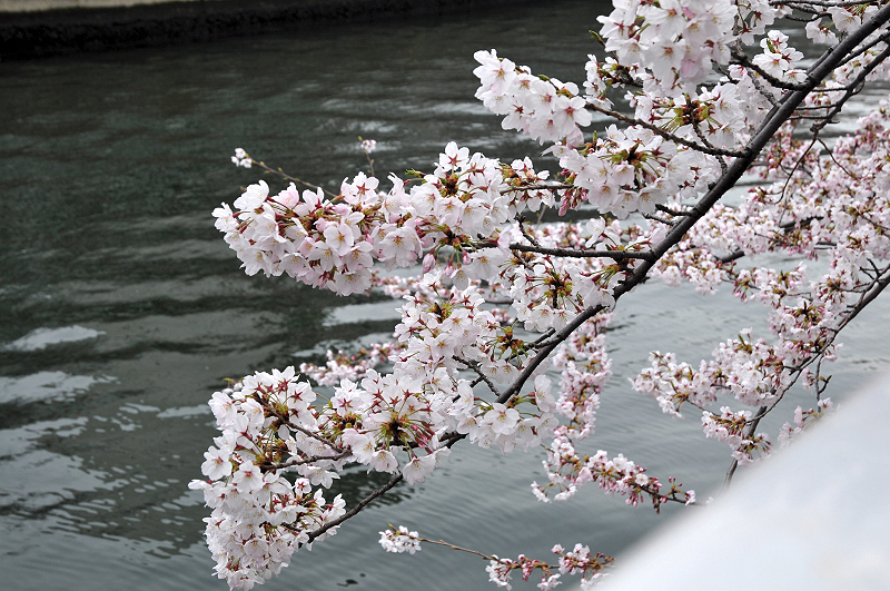 image0097