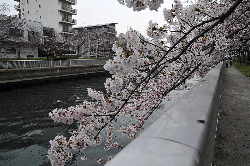 image0098