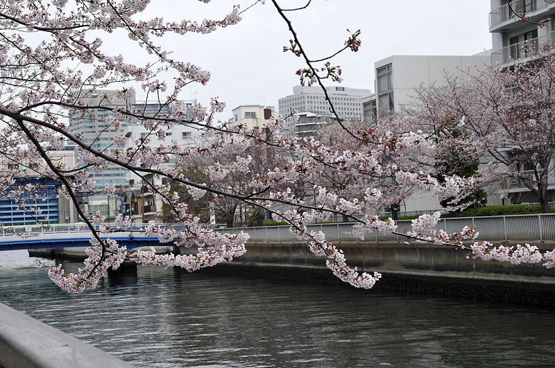 image0104