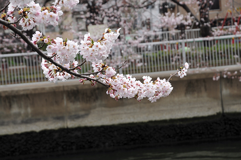 image0106