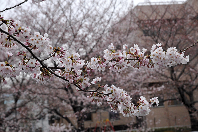 image0107