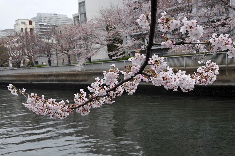 image0108