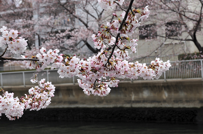 image0109