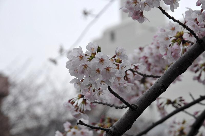 image0112
